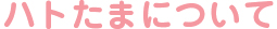 ハトたまについて
